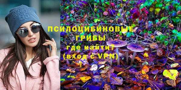 ГАЛЛЮЦИНОГЕННЫЕ ГРИБЫ Абдулино