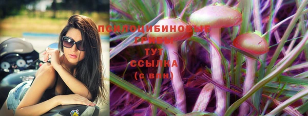 скорость Абаза