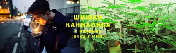 ГАЛЛЮЦИНОГЕННЫЕ ГРИБЫ Абдулино